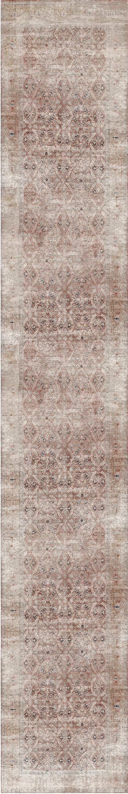 Distressed Vintage In Red & Beige : Runner Rug