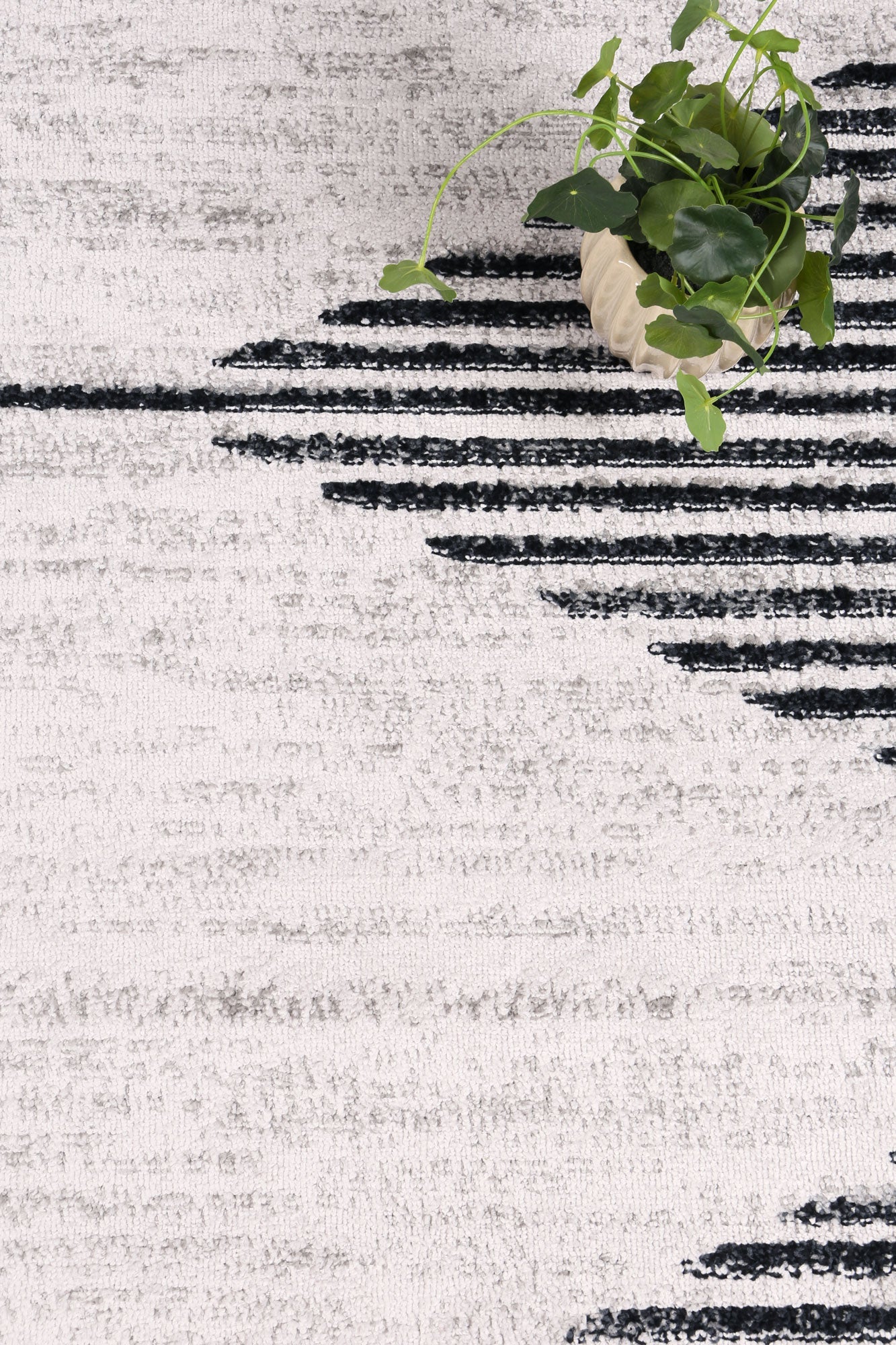 Christina Diamond Contemporary In Charcoal Rug