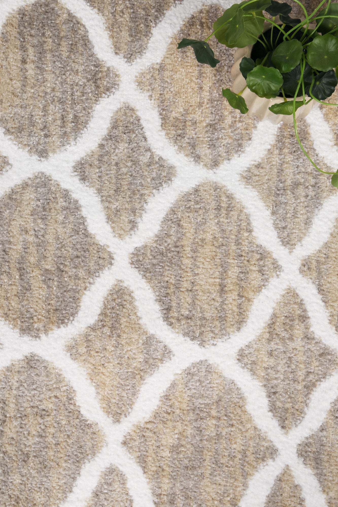 Christina Repeat Contemporary In Latte Rug